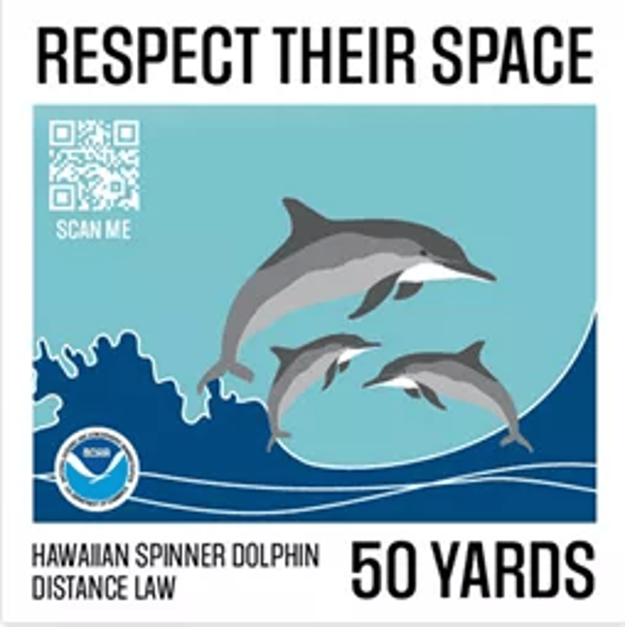 dophin poster