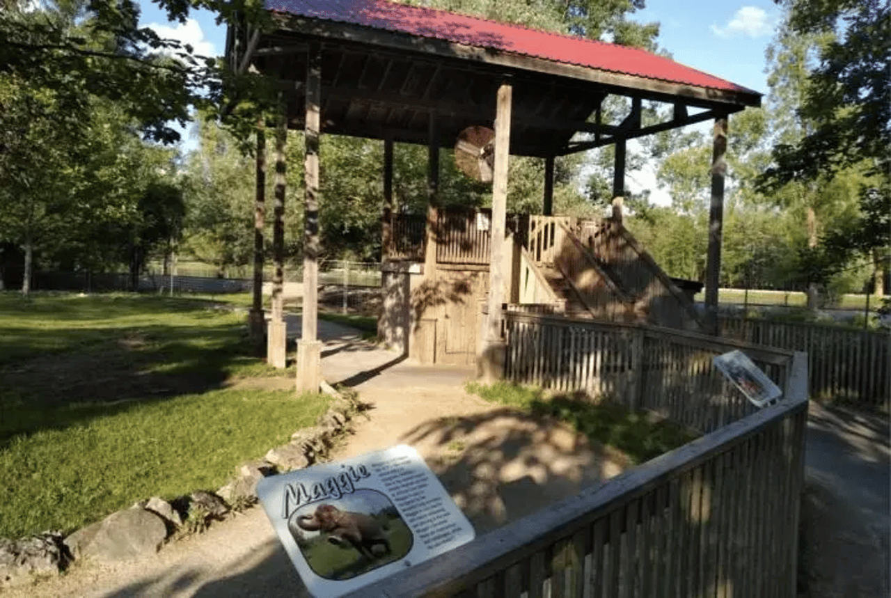 elephant riding facility