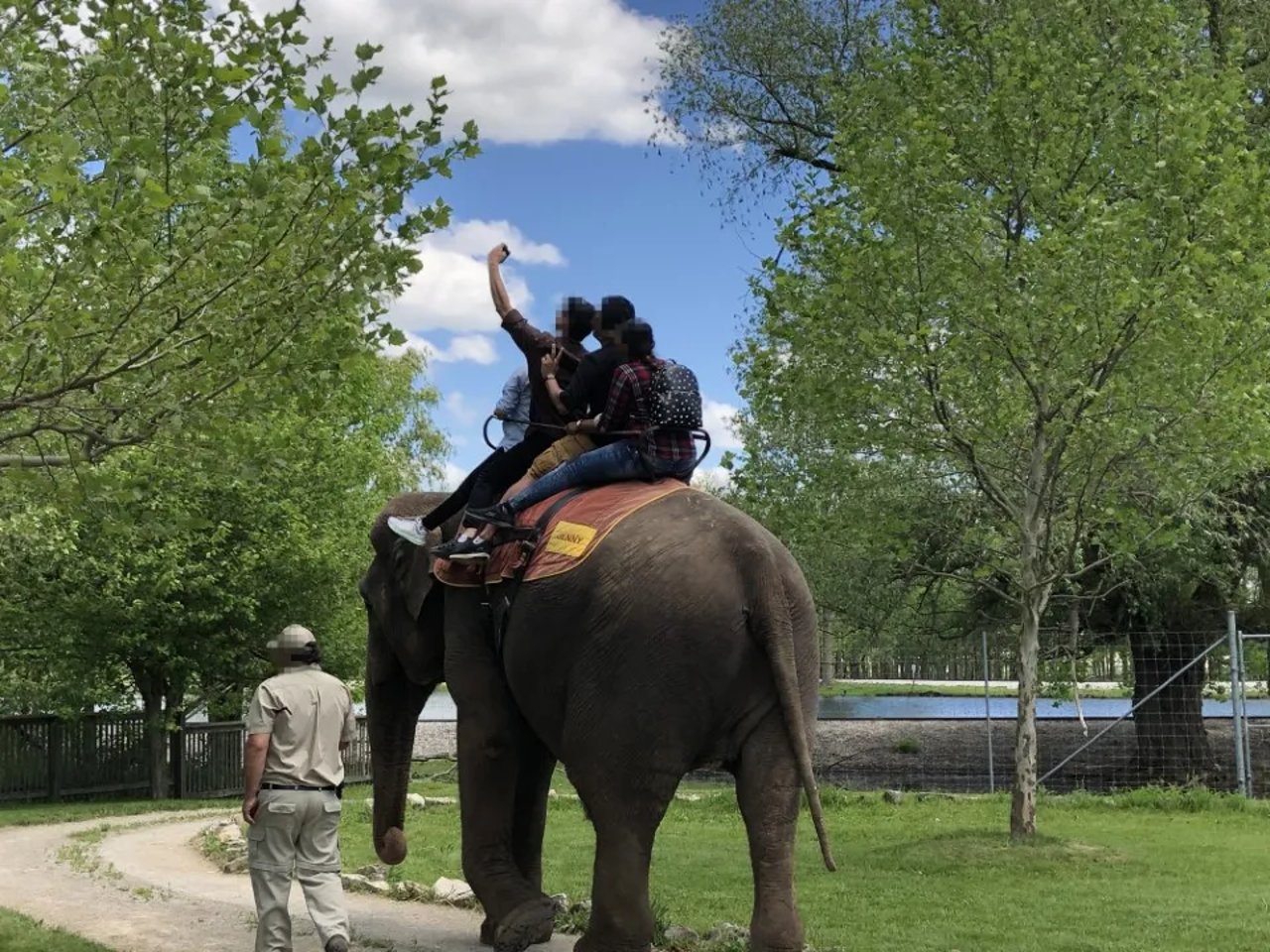 elephant riding