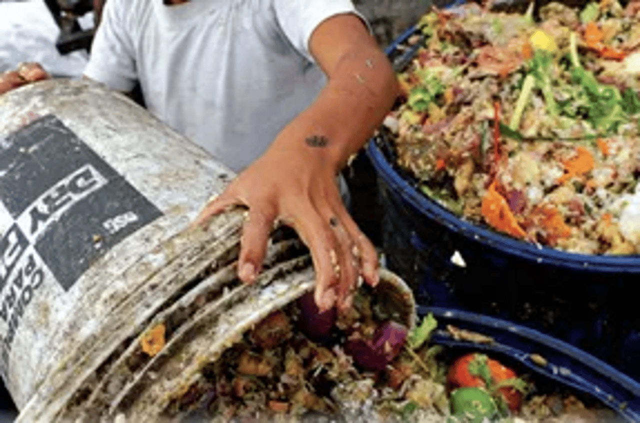 food waste