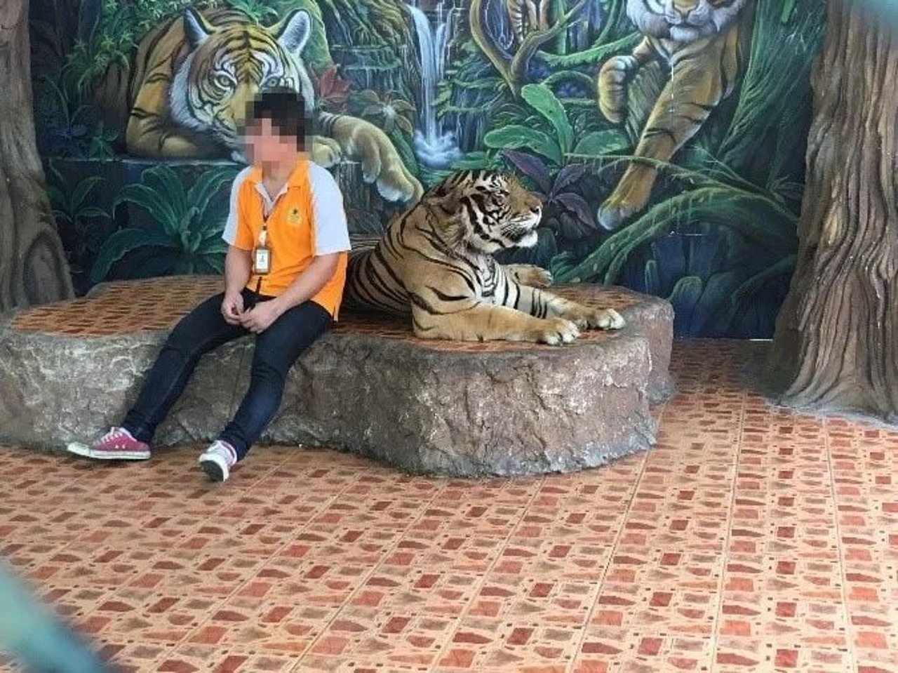 tiger