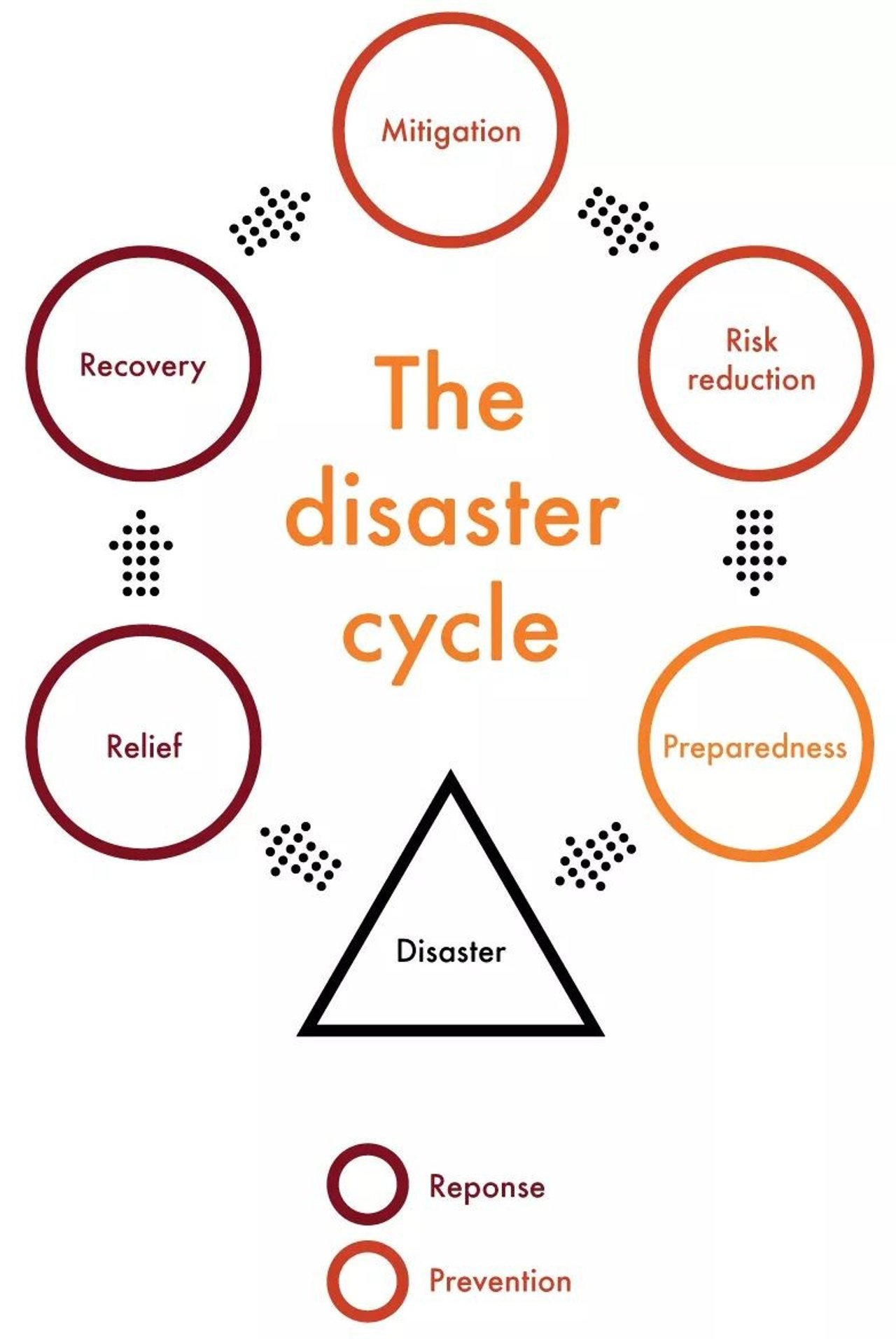 the disaster cycle