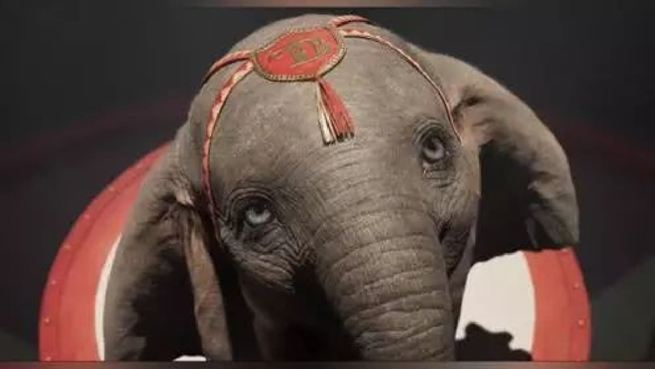 dumbo