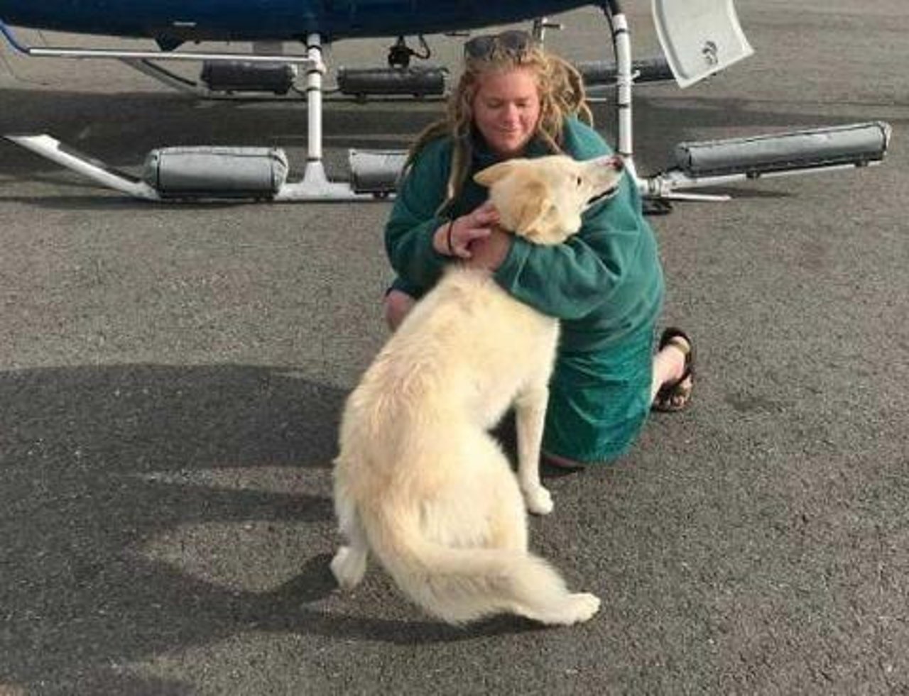 dog