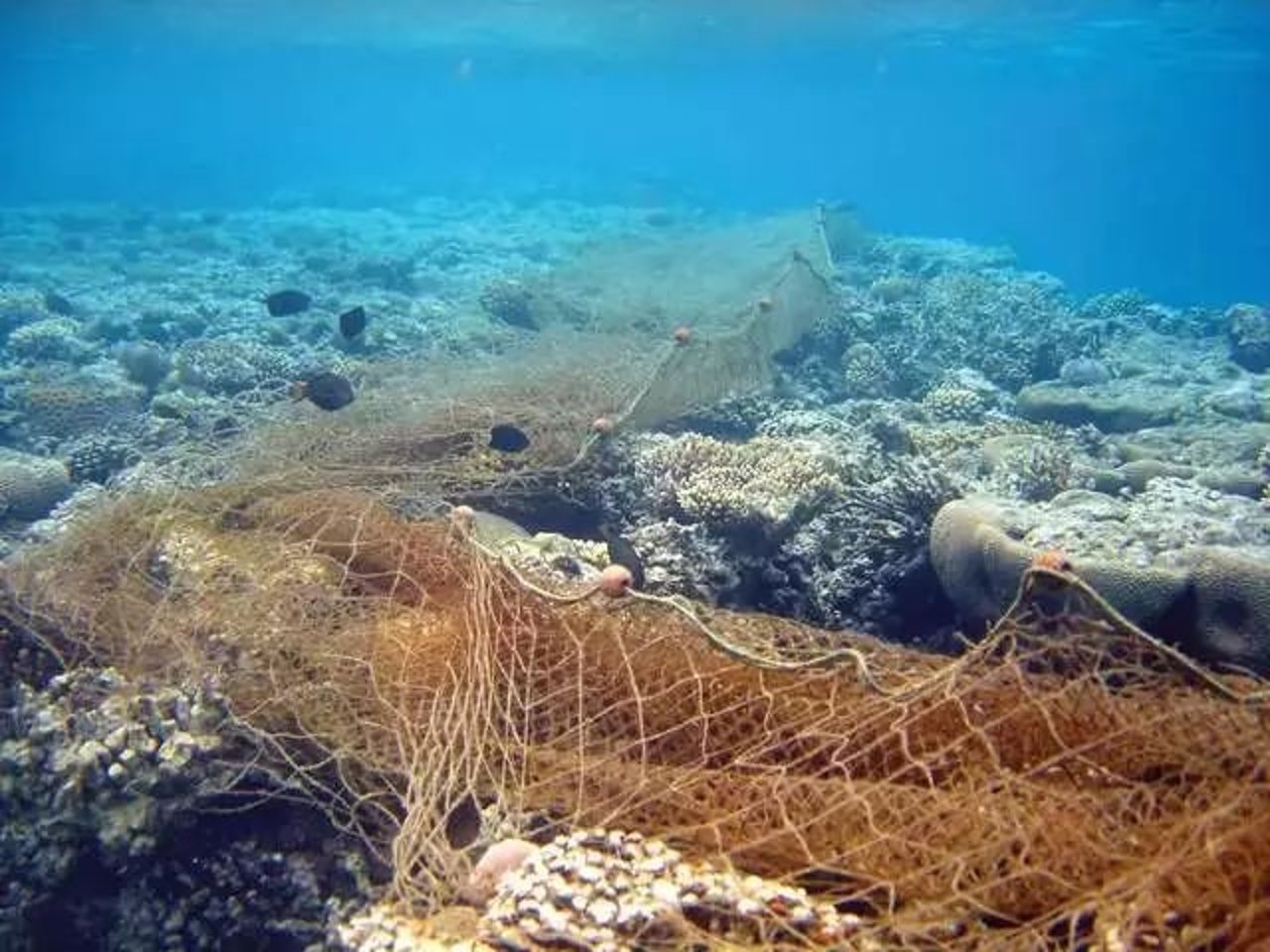 ghost gear