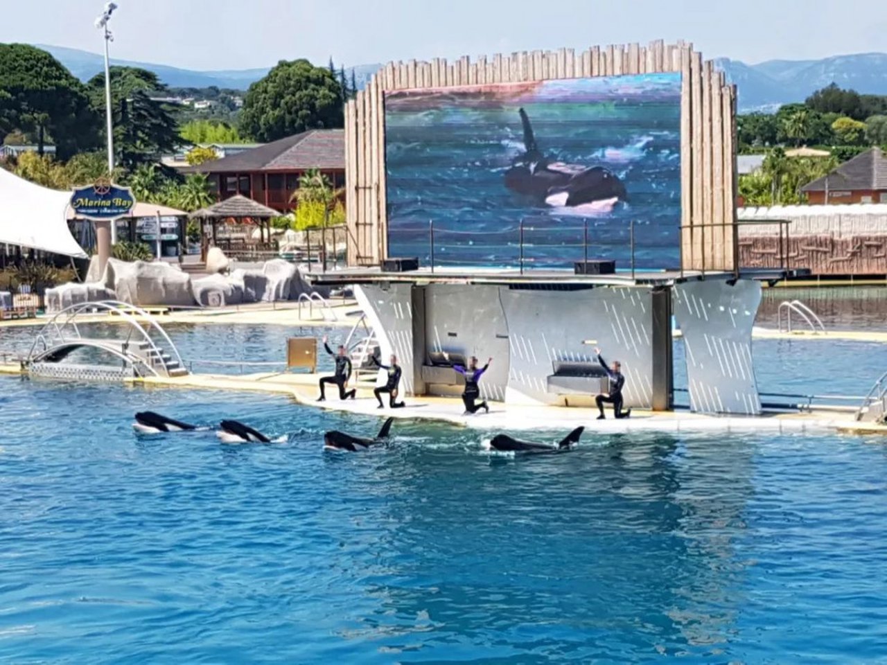 Aquarium