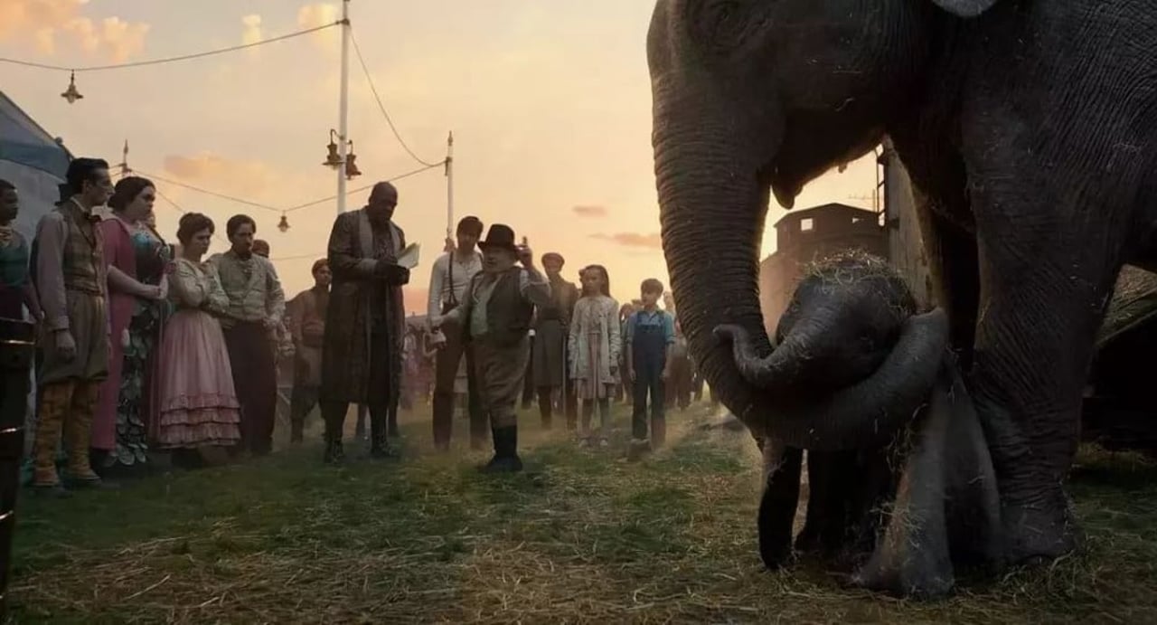 dumbo