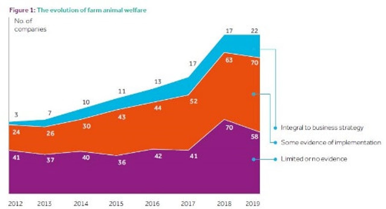 farm animal welfare