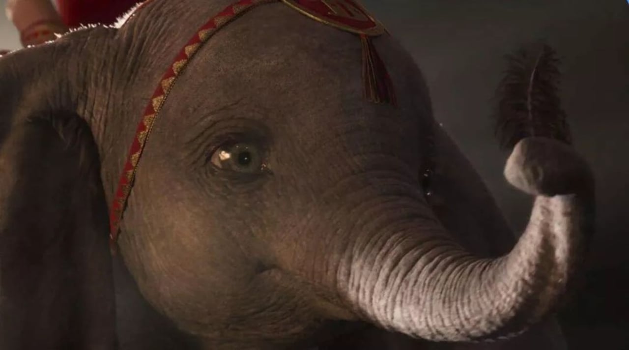 dumbo