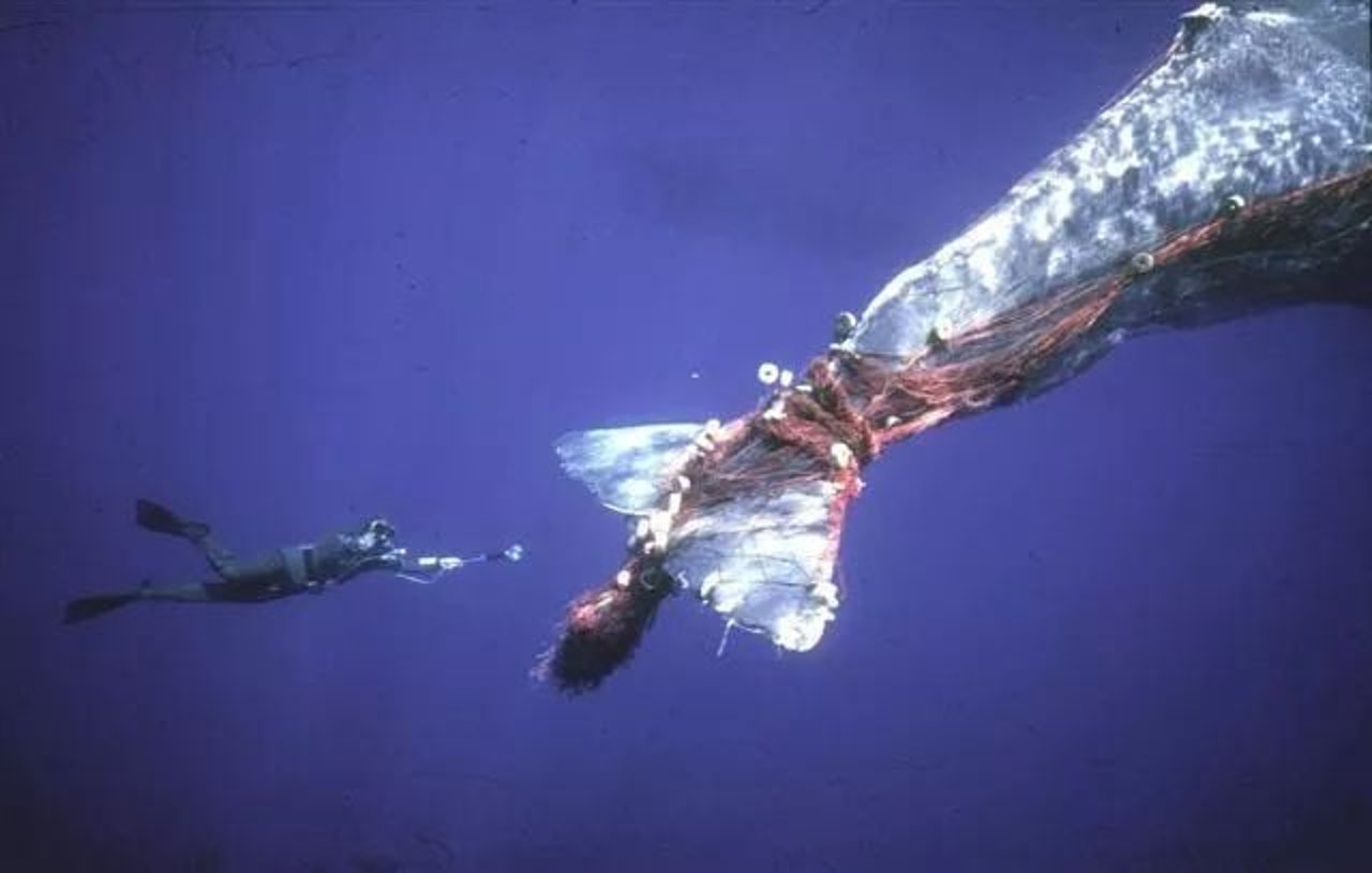 ghost gear