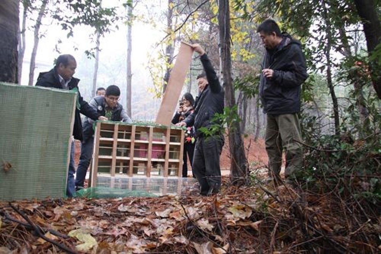 Beijing Breeding of Wild Animal Rescue Center