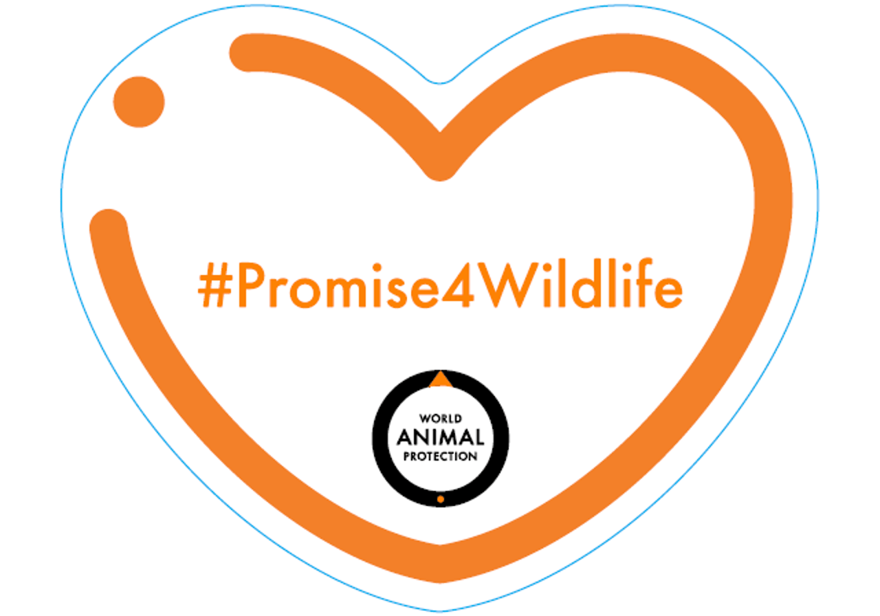 promise4wildlife