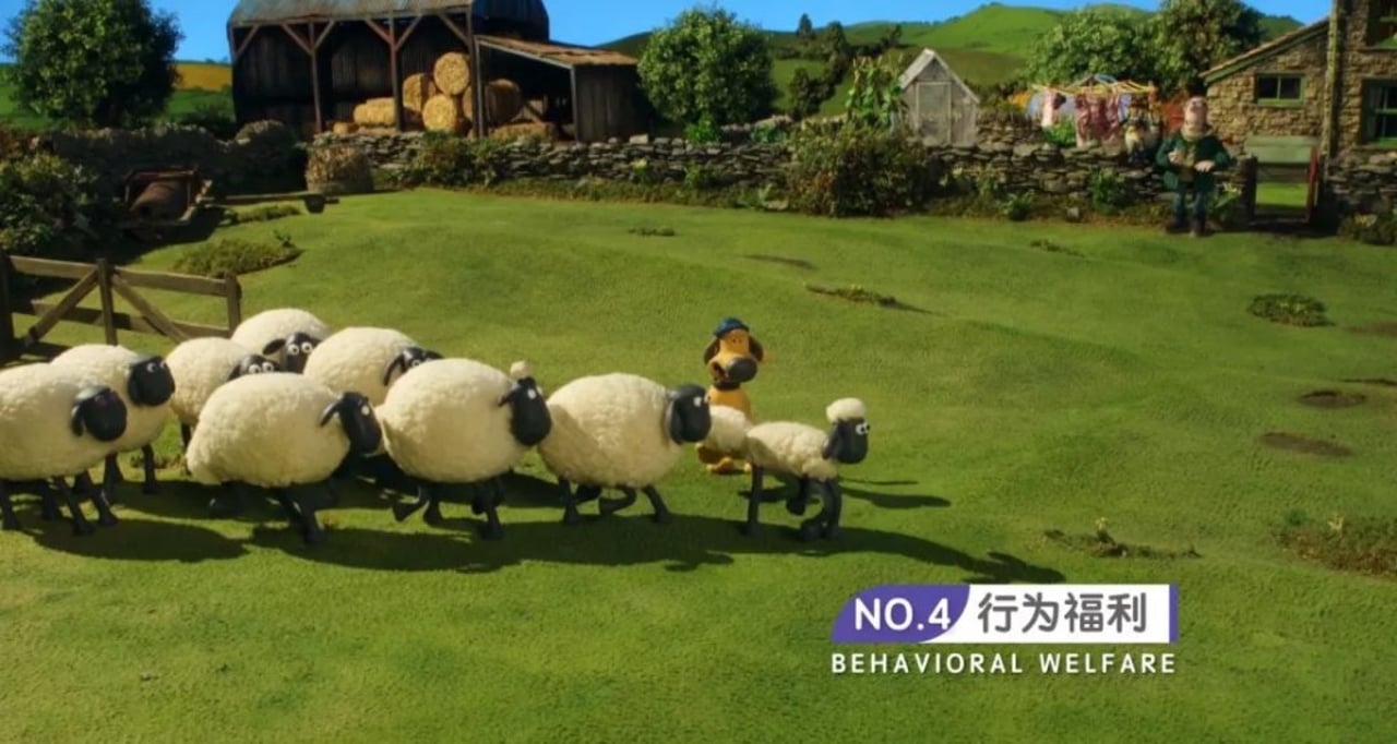 shaun the sheep