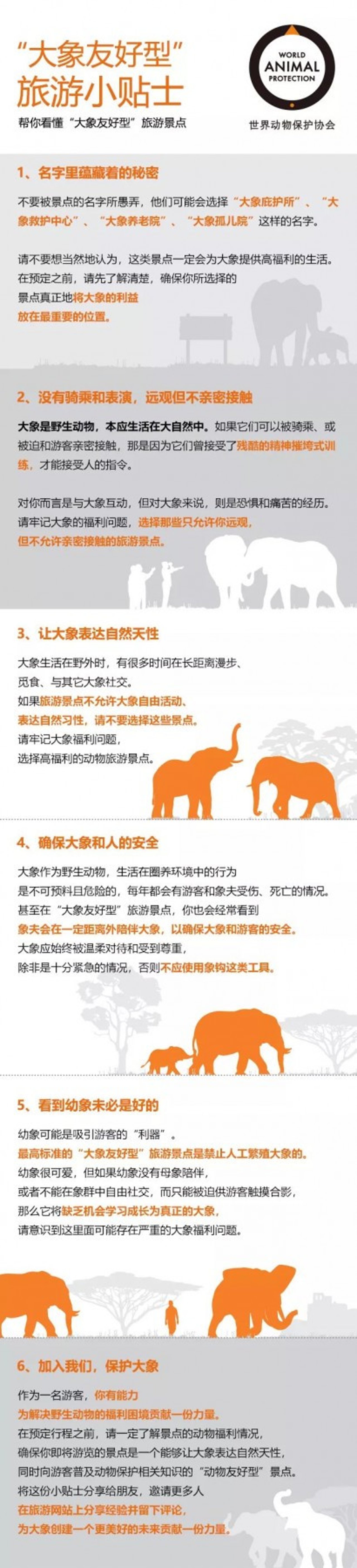 animal friendly tourism