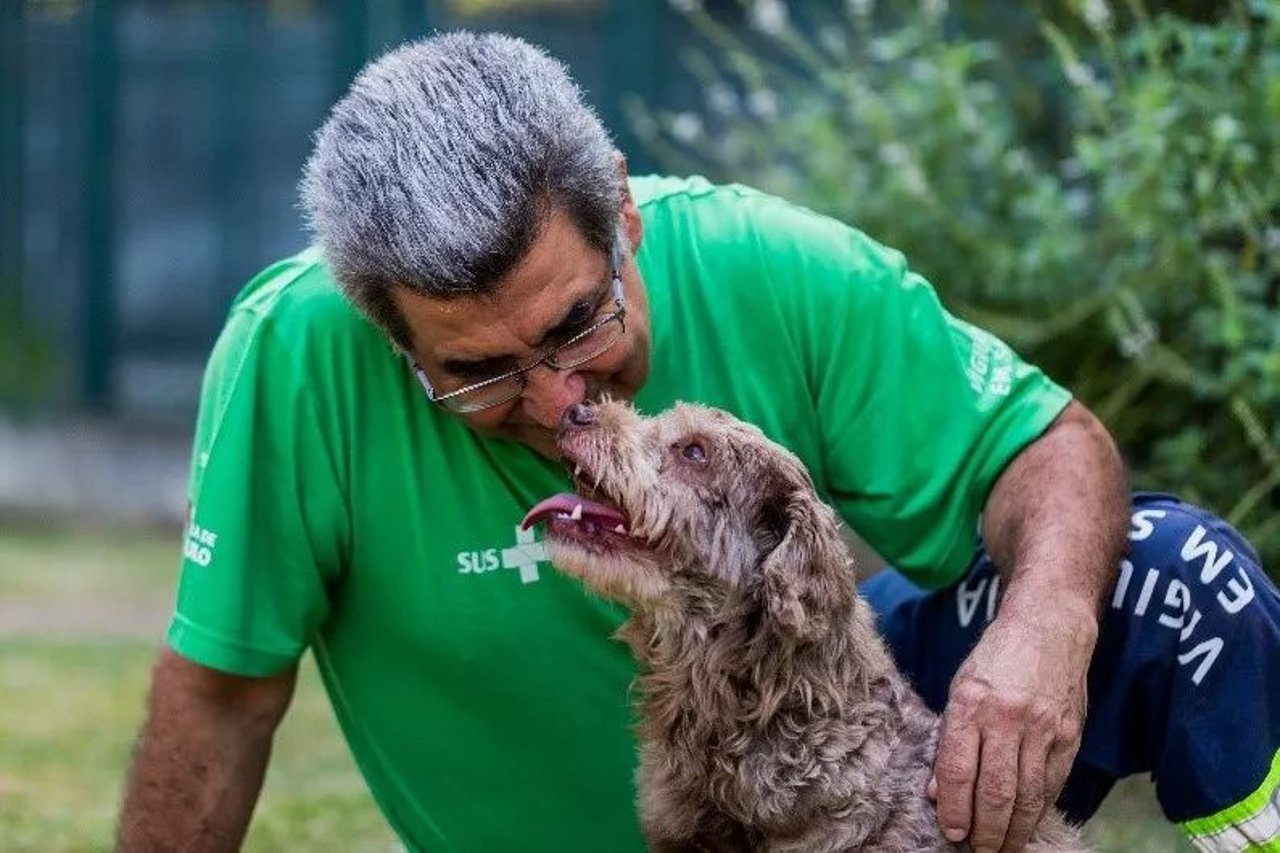 dog
