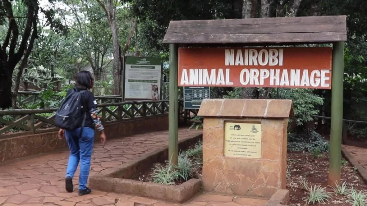 animal orphanage