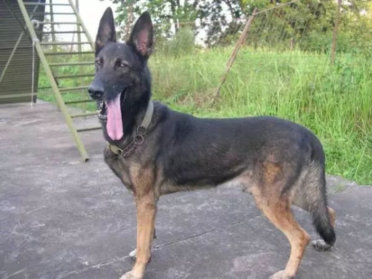 huijie