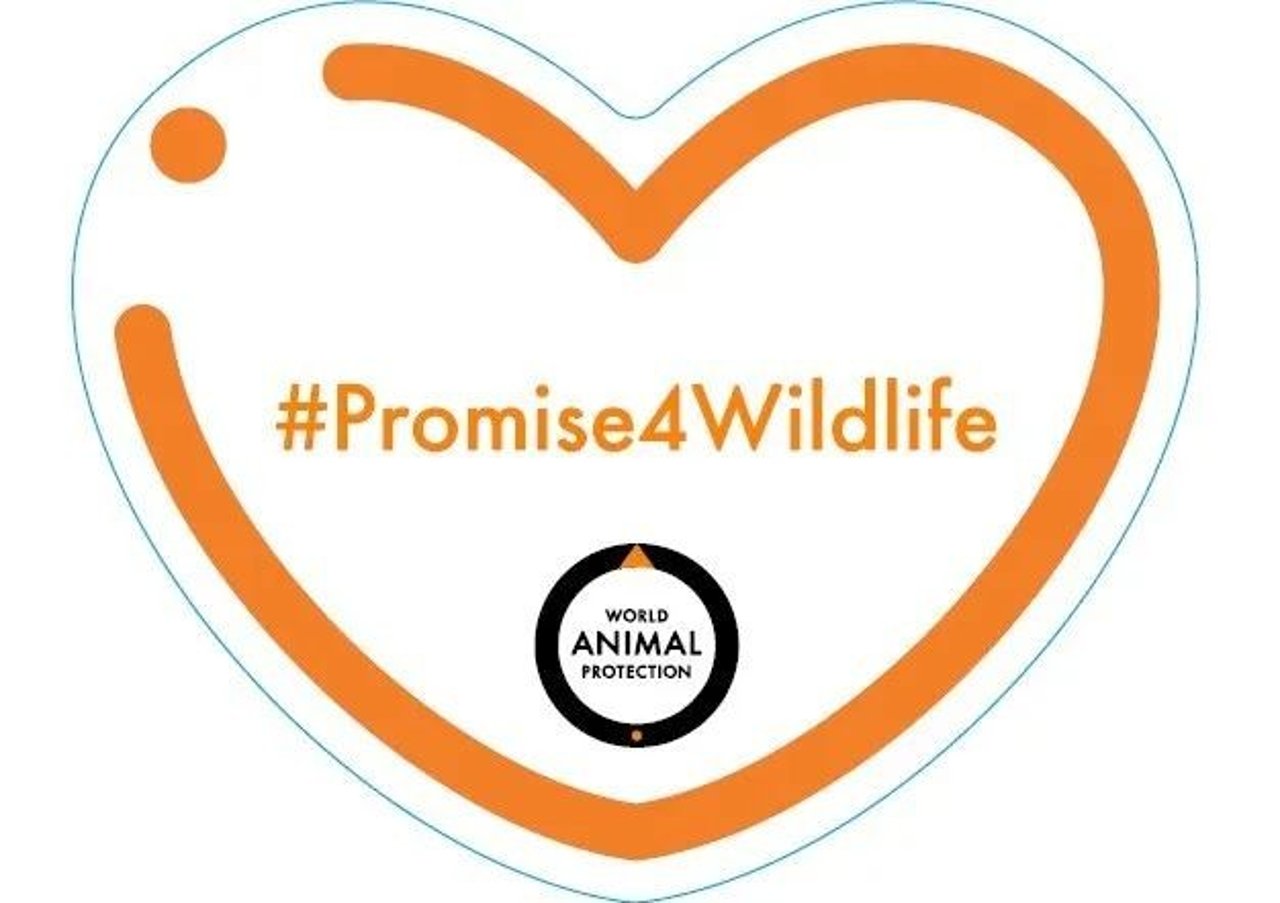promise4wildlife