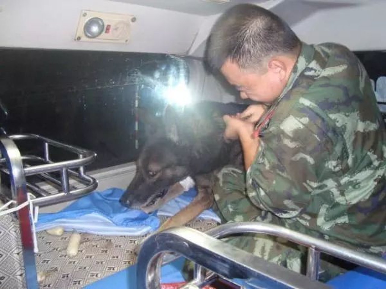 police dog