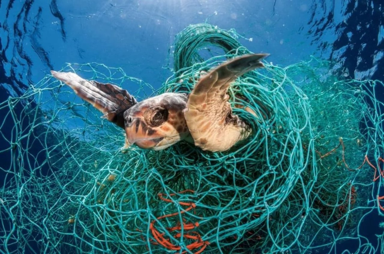 ghost gear