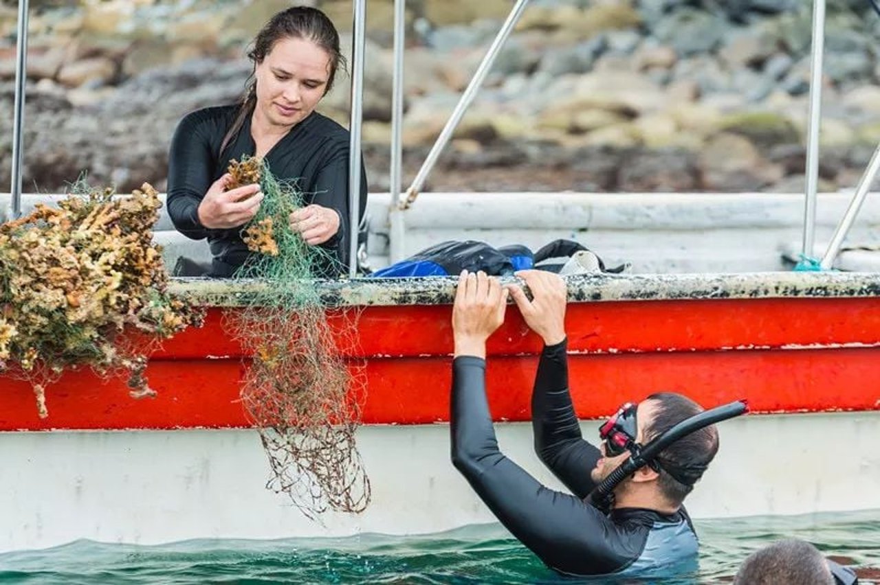 ghost gear