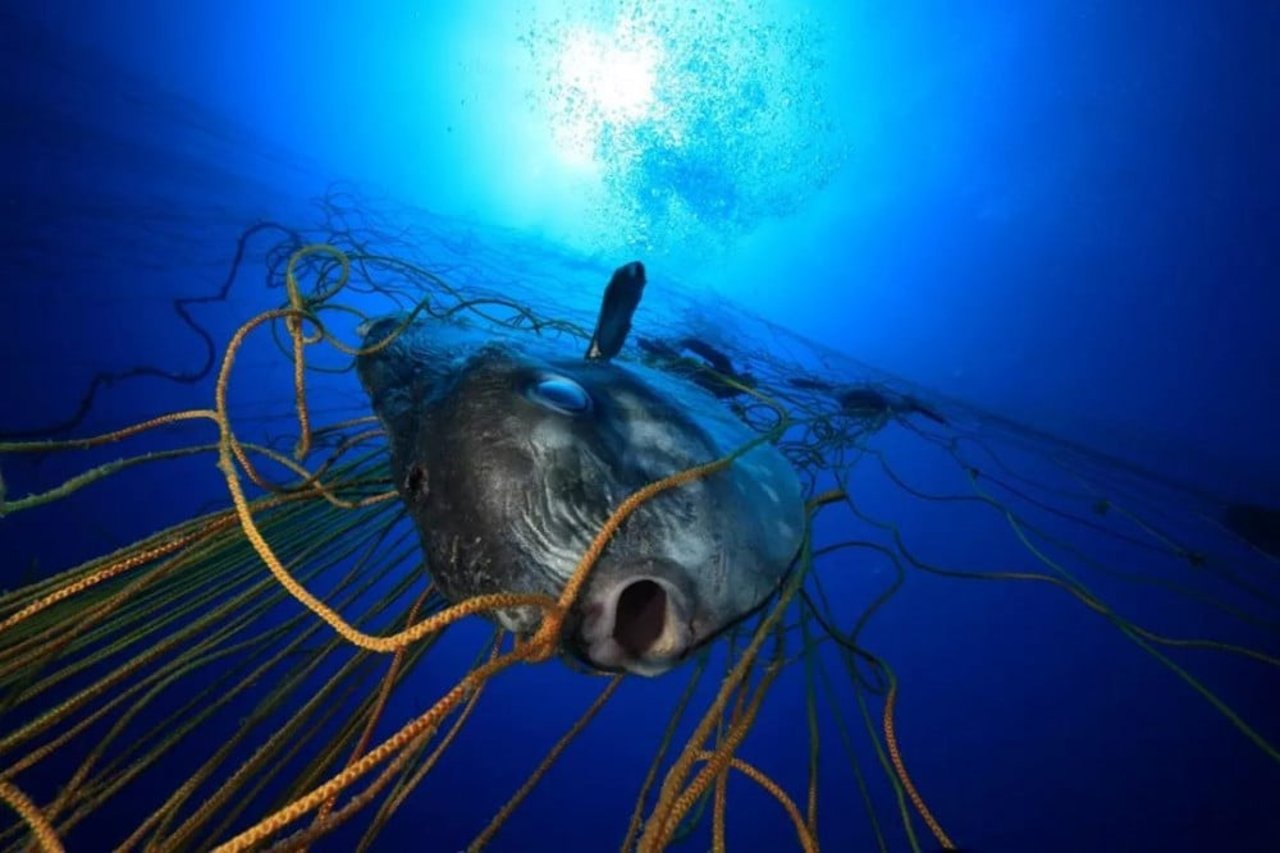 ghost gear