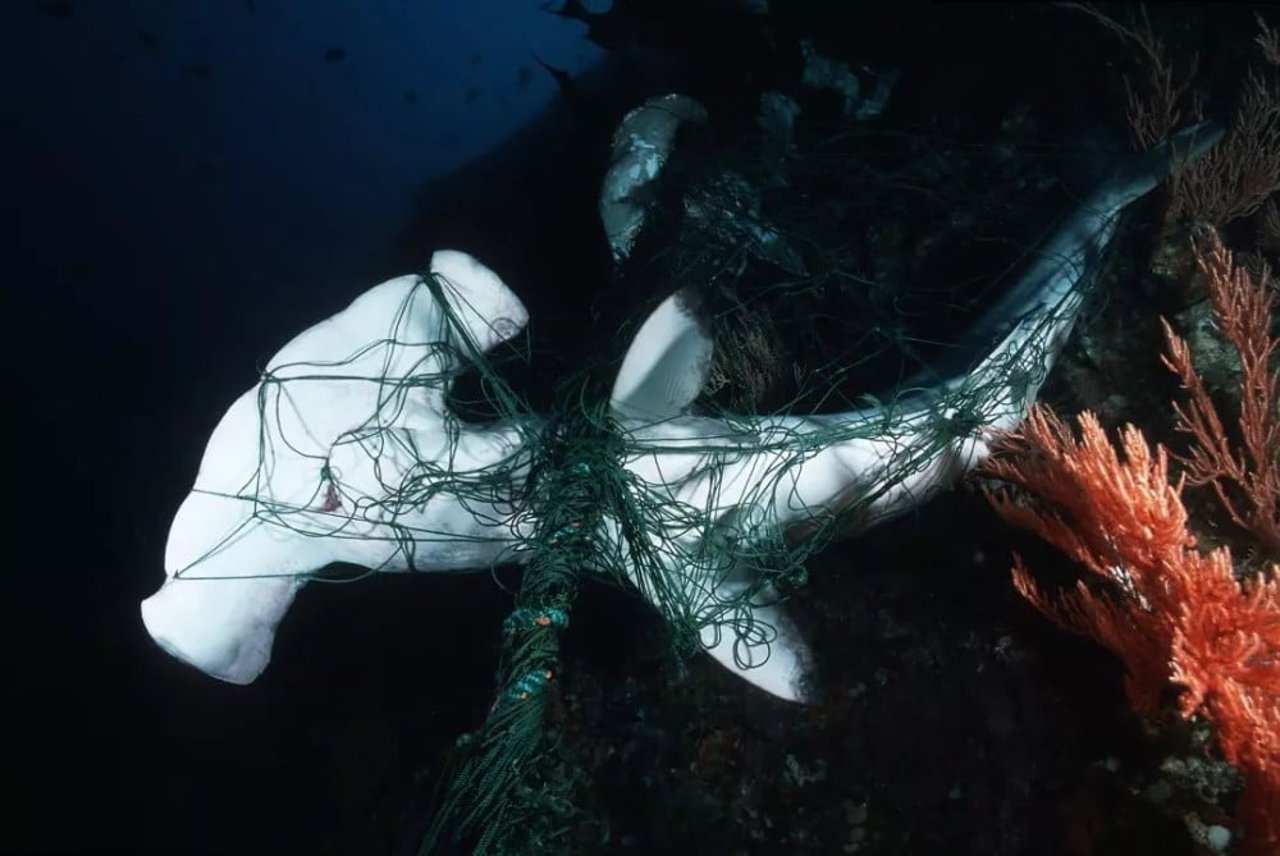 ghost gear