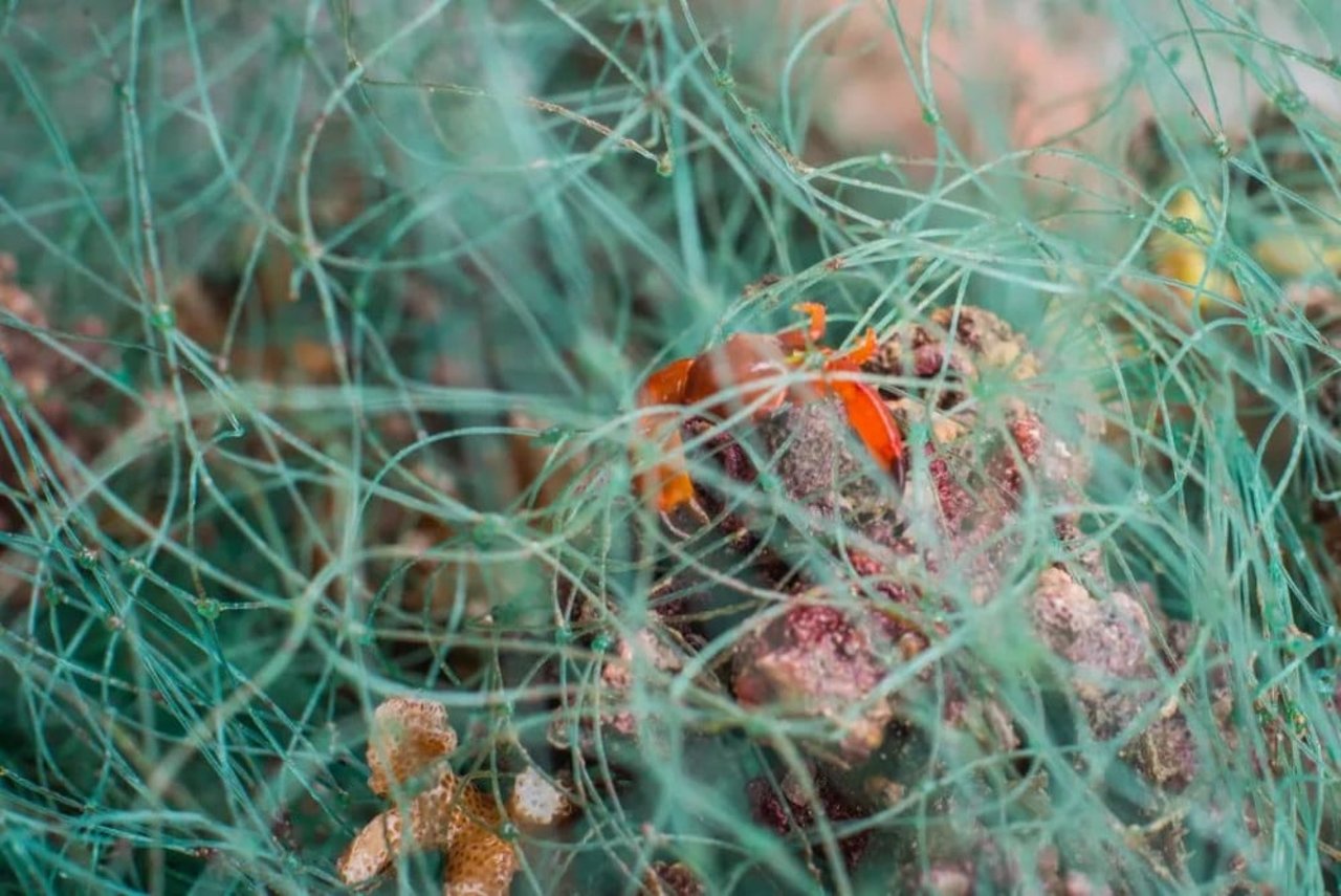 ghost gear
