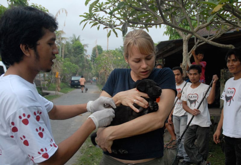 巴厘岛狂犬病减少，第一轮疫苗接种完成