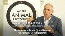 World Animal Protection CEO Steve McIvor