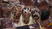 leopard skin product