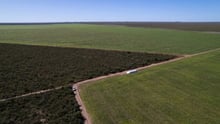 field