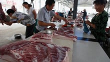 中国是全球最大的养猪和猪肉消费国