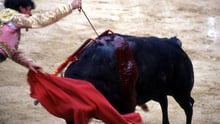 加泰罗尼亚历史性地通过禁止斗牛法案