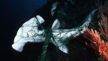 ghost gear