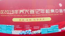 依法养犬，善待我们的伙伴