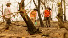 brazil fire