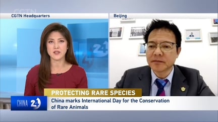 CGTN video Interview