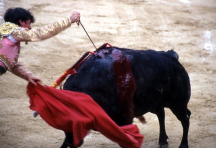 加泰罗尼亚历史性地通过禁止斗牛法案