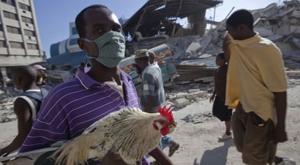 海地地震后救助者手中的公鸡