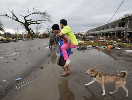 世界动物保护协会灾难救援项目团队应对超级台风“海燕”1