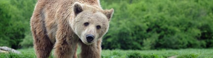 浙江爱生药业签署世界动物保护协会“野生动物友好型”药企承诺