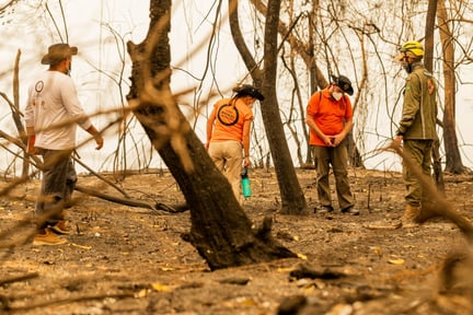 brazil fire