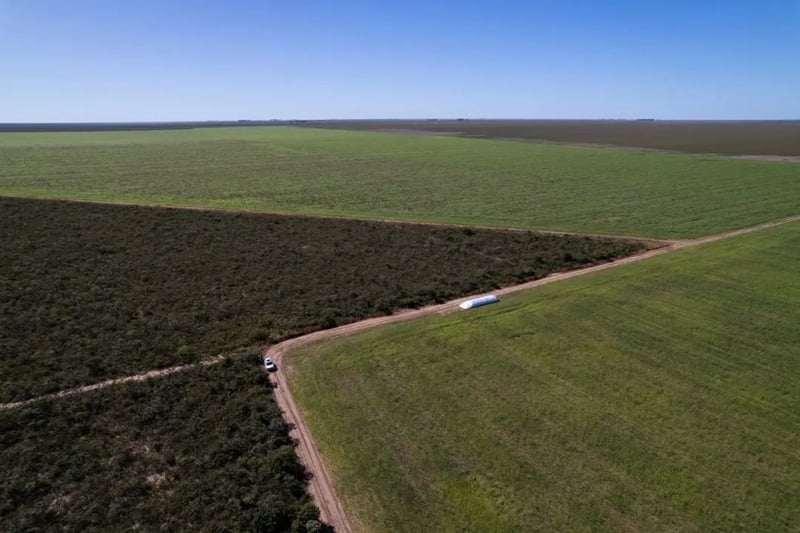 field