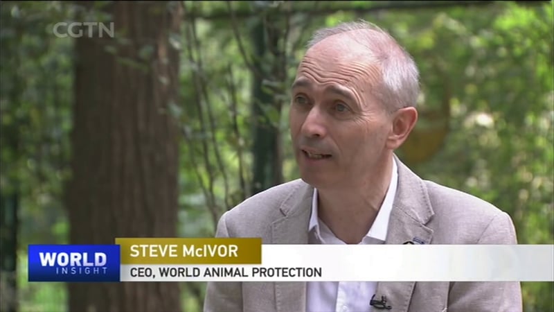 WAP CEO Steve