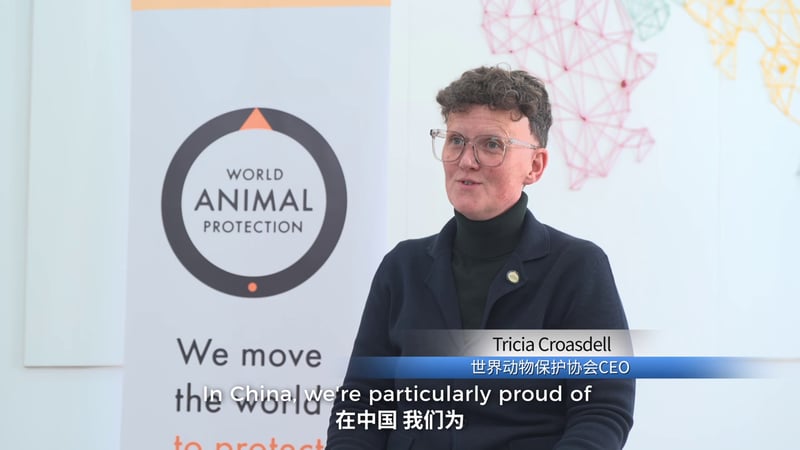 Tricia Croasdell