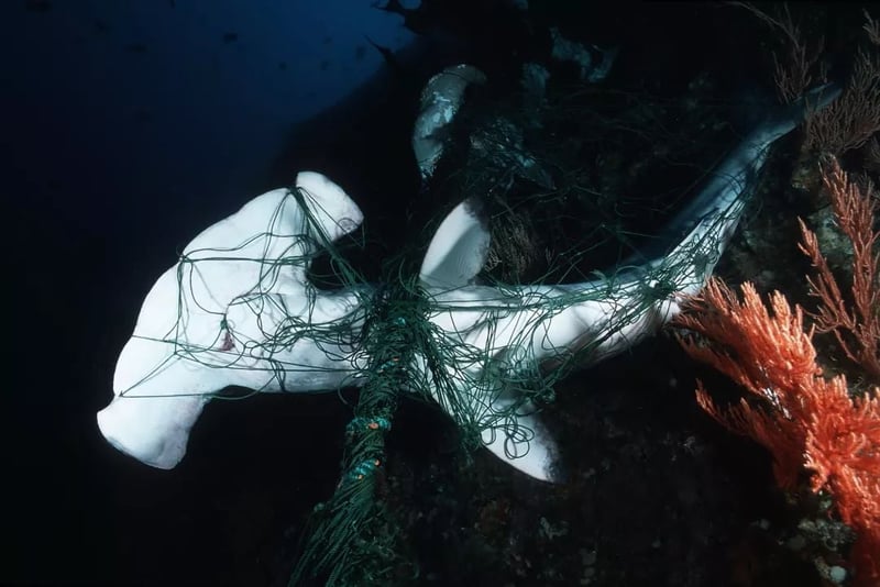 ghost gear